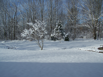 a winter day in Hampden, Maine 12/2023